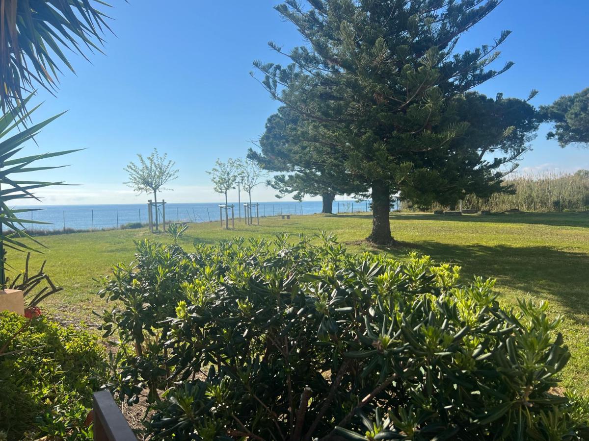 Appartement N 216 Moriani Plage Санта-Лусия-ди-Мориани Екстериор снимка